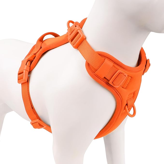 No Pull Dog Harness, Puppy Vest with Front Clip for Small Medium Large Sized Dog(Orange,M)-Mewly Pet