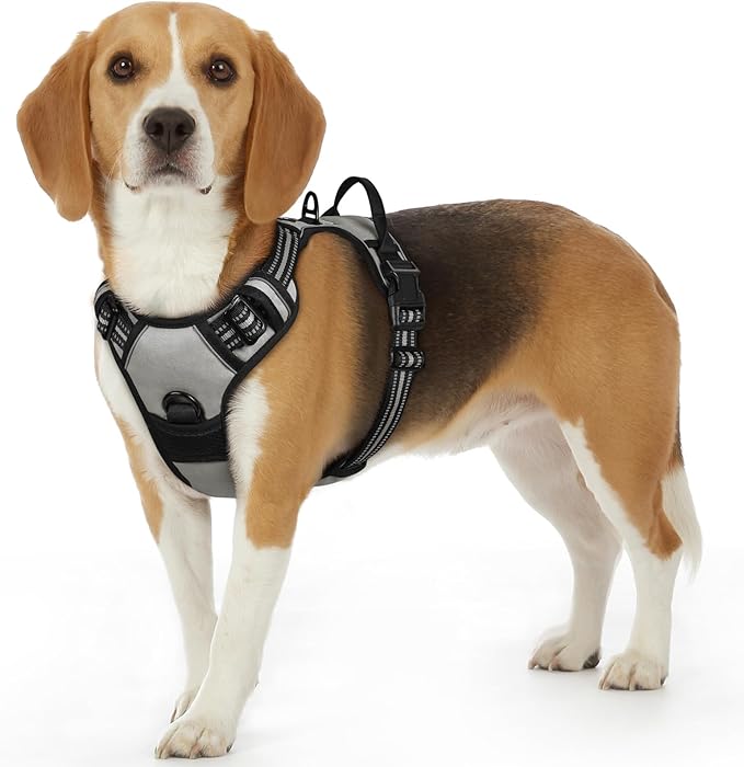 Eagloo Dog Harness Small Sized Dog, No Pull Service Vest with Reflective Strips and Control Handle, Adjustable and Comfortable for Easy Walking, No Choke Pet Harness with 2 Metal Rings, Grey, S-Mewly Pet