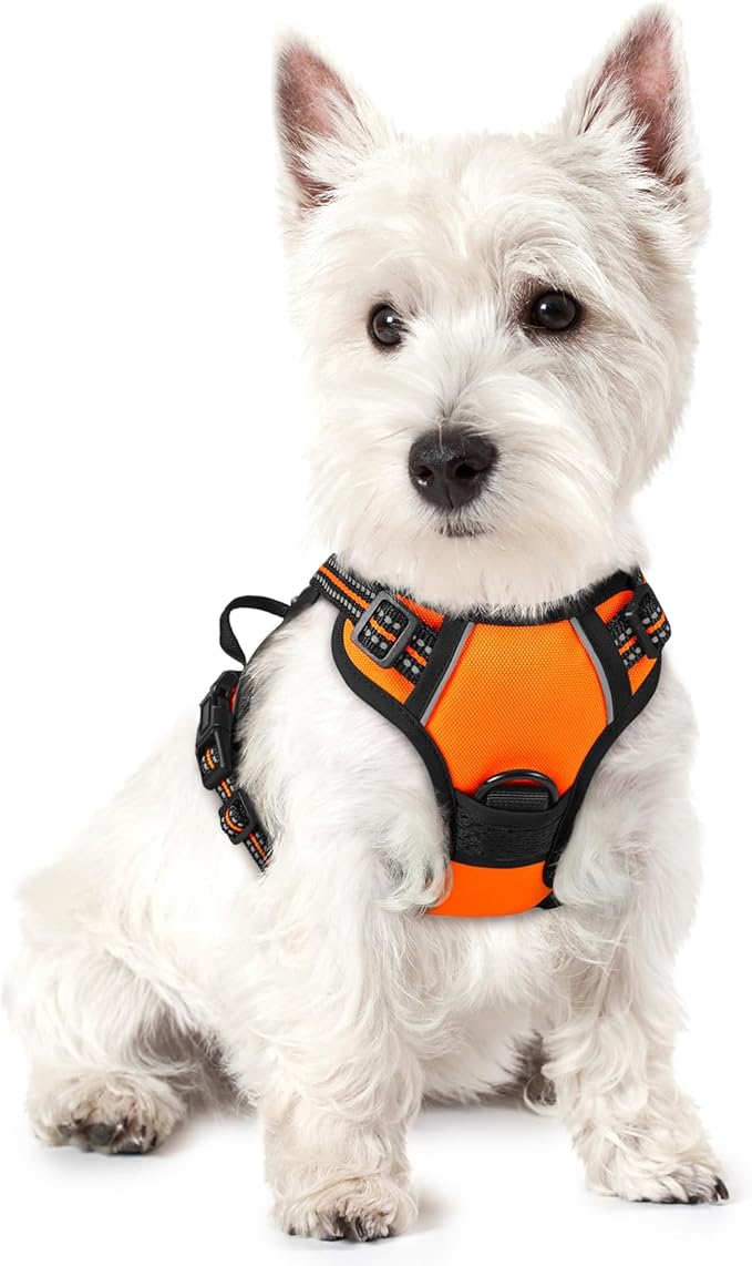 rabbitgoo Dog Harness No Pull with 2 Leash Clips, Adjustable Soft Padded, Reflective Oxford No Choke Pet Vest with Easy Control Handle for Puppy, Orange,XS-Mewly Pet