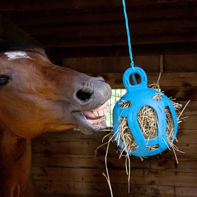 Horsemen's Pride Jolly Hay Ball Stall Toy for Horses, Blue, 8"-Mewly Pet