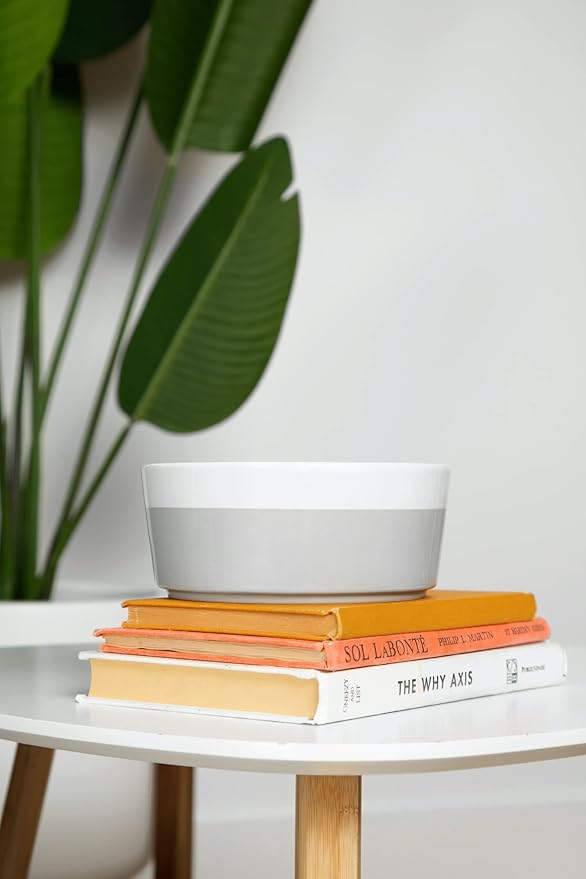 Waggo Dipper Ceramic Dog Bowl for Small and Large Breeds - Heavyweight and Durable Pet Food and Water Dish Crock, Dishwasher Safe, Modern (Mint, Small)-Mewly Pet