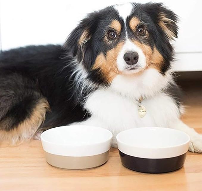 Waggo Dipper Ceramic Dog Bowl for Small and Large Breeds - Heavyweight and Durable Pet Food and Water Dish Crock, Dishwasher Safe, Modern (Midnight, Small)-Mewly Pet