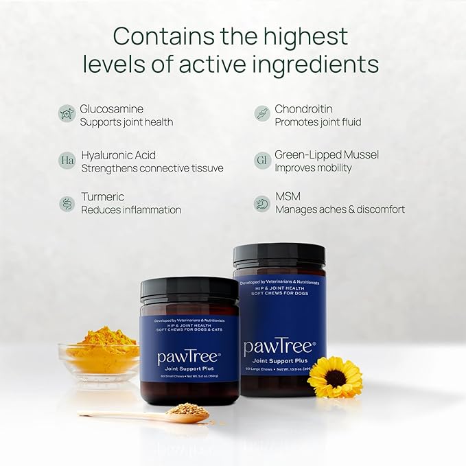 pawTree Joint & Hip Support Supplement for Dogs with Glucosamine, Chondroitin, MSM, Tumeric & Green Lipped Mussels - Vitamins, Supplements & Health Essentials - All-Natural Mobility Soft Chews-Mewly Pet