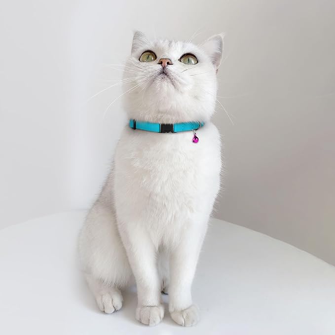 Breakaway Cat Collar Leather with Removable Bell - 13 Colors Available - Soft Adjustable Girl Boy Safety Lightweight Pet Kitten Collars Pink Brown Blue Green Red Orange Black (Graphite)-Mewly Pet