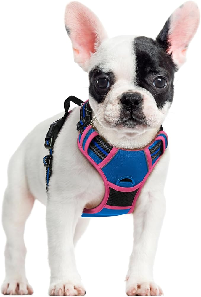 rabbitgoo Dog Harness No Pull with 2 Leash Clips, Adjustable Soft Padded, Reflective Oxford No Choke Pet Vest with Easy Control Handle for Large Dogs, Blue & Hot Pink, S-Mewly Pet
