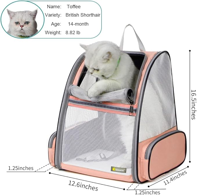 Texsens Innovative Traveler Bubble Backpack Pet Carriers for Cats and Dogs-Mewly Pet