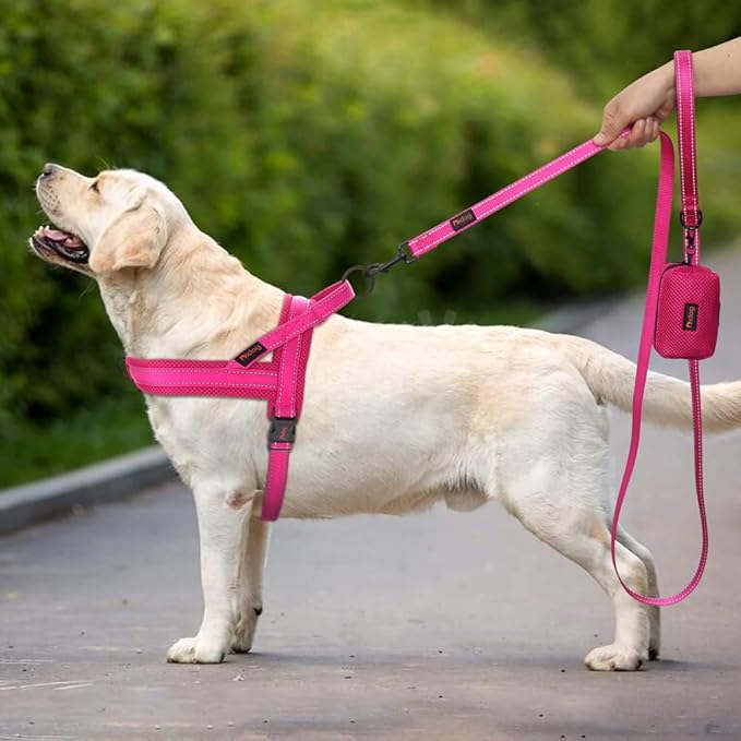 Didog No Pull Dog Harness with Soft Mesh Padded,Reflective & Quick Fit Light Weight Dog Strap Vest Harness,Easy for Walking Training (L:Chest 26-32", Mesh-Hot Pink)-Mewly Pet