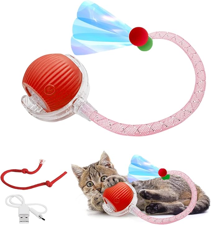 Cat Toy, Interactive Cat Toy, Cat Toys for Indoor Cats with 2 Tails, 3 Modes Rechargeable Cat Enrichment Toys for Small/Medium/Large Cats to Keep Them Busy-Mewly Pet
