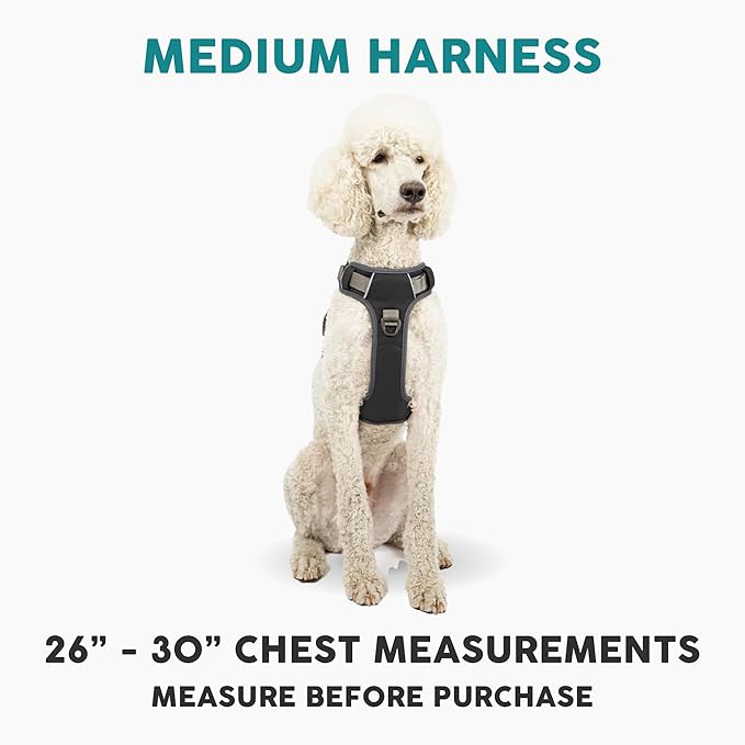 Embark Adventure Dog Harness, Reflective Trim No Pull Dog Harness Medium Sized - Military Grade Nylon, Front Clip with Gel Lined Handle. Soft & Padded Puppy Harnesses for Any Breed-Mewly Pet