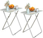 Folding TV Tray Table Set of 2,Dinner Snack Trays Table for Eating on Couch,Portable Metal Dinner Table for Small Sofa Bedside Tables with Light Weight, 15 x 18.9 x 26 in(Smoky Grey,2PCS)