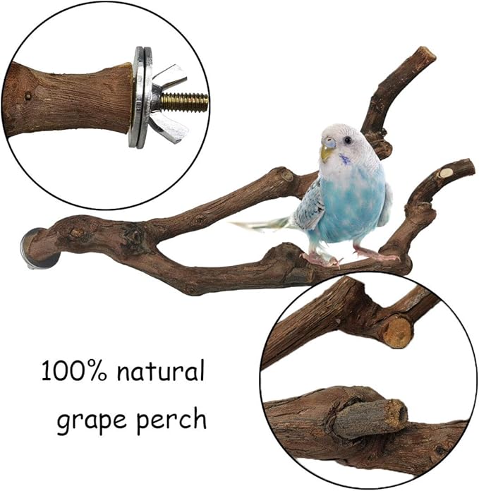 kathson Natural Parrot Perch Bird Stand Pole Wild Grape Stick Paw Grinding Fork Parakeet Climbing Standing Branches Toy Chewable Cage Accessories for Small Budgies Cockatiels Lovebirds 3PCS-Mewly Pet