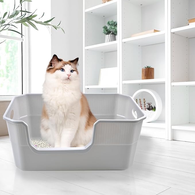 Large Open Cat Litter Box Low Entry,High Sided Cat Litter Pan Anti-Splashing Plastic Kitty Box Grey Kitten Pan with High Wall Easy Clean-Mewly Pet
