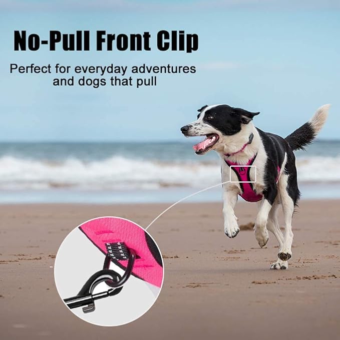 PoyPet No Pull Dog Harness, Reflective Comfortable Vest Harness with Front & Back 2 Leash Attachments and Easy Control Handle Adjustable Soft Padded Pet Vest for Small to Large Dogs (Pink,XS)-Mewly Pet
