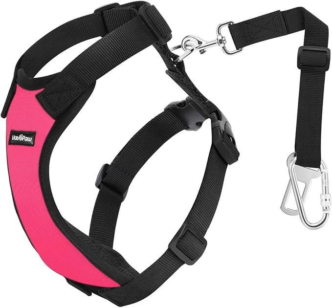 Dog Seat Belt, Safety Vest Dog Car Harness with Adjustable Buckle Dog Seat Belt for Vehicle Nylon Pet Safety Seat Belts Heavy Duty(XXL, Magenta)-Mewly Pet