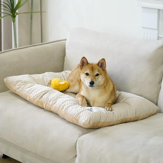 FUNNY FUZZY 2 in 1 Dog Crate Bed Pad for Large Sized Dog, Washable Reversible Pet Soft Mats,Durable Fluffy Kennel Mattress,Indoor Cats, 35" × 23", Beige-Mewly Pet