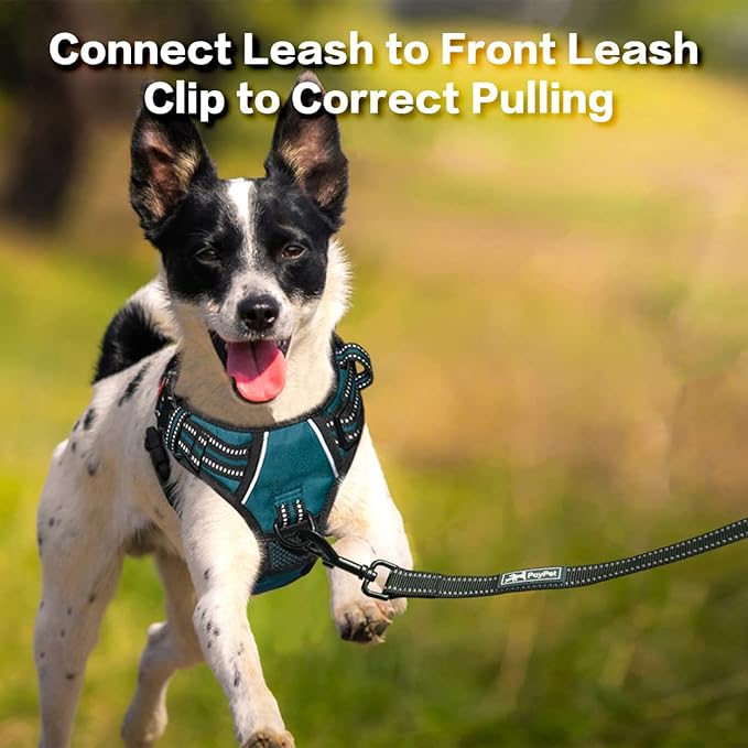 PoyPet No Pull Dog Harness, No Choke Front Clip Reflective Dog Vest with Soft Padded Vertical Handle, 3 Leash Attachments for Small Medium Large Dogs (Tumalo Teal,XL)-Mewly Pet