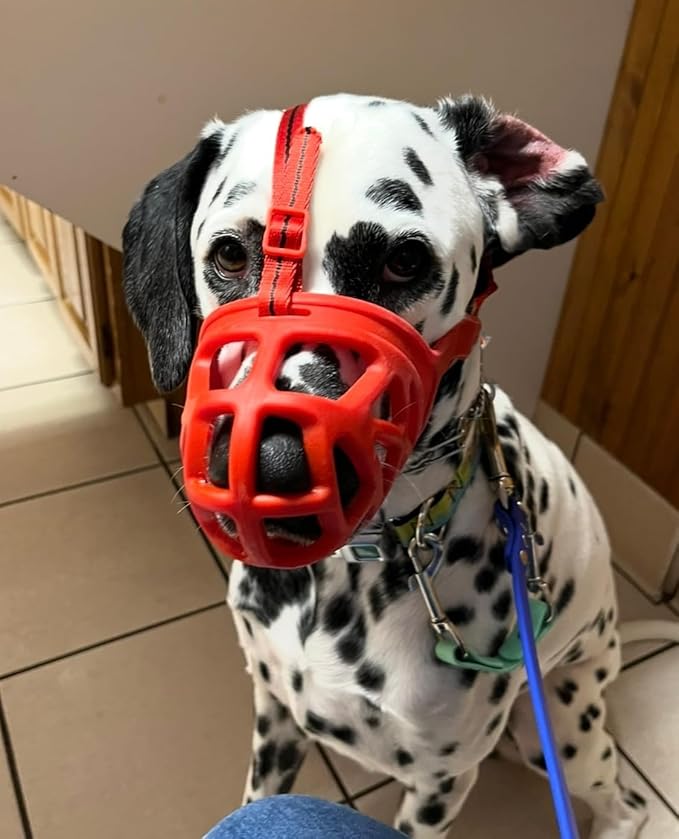 Mayerzon Dog Muzzle, Breathable Basket Muzzles for Small, Medium, Large and X-Large Aggressive Dogs Beagle German Shepherd Doberman, Cage Mouth Guard Stop Biting Chewing for Grooming Training-Mewly Pet