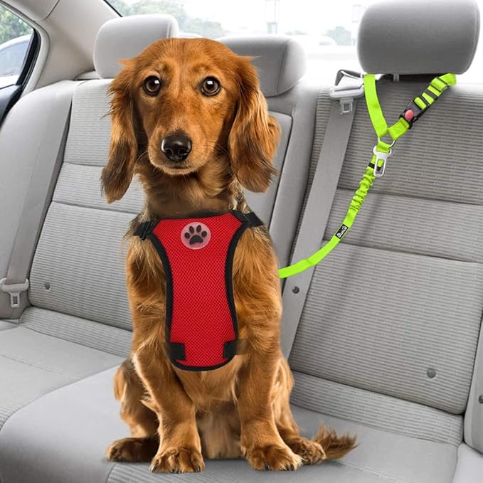 SlowTon Dog Seat Belt for Car, 2 Pack Dog Car Harness Seatbelt Adjustable with Elastic Bungee Buffer, 2 in 1 Pet Car Leash Headrest Restraint Dog Reflective Safety Tether (Lime, Headrest+Clip)-Mewly Pet