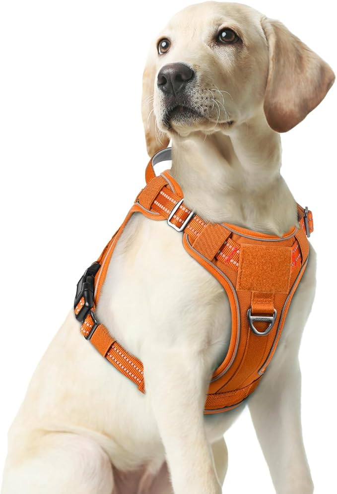 rabbitgoo Dog Harness Medium Sized No Pull, Tactical Service Pet Vest with Molle and Control Handle, Adjustable and Reflective Military Harness for Easy Walking and Training, Orange, M-Mewly Pet