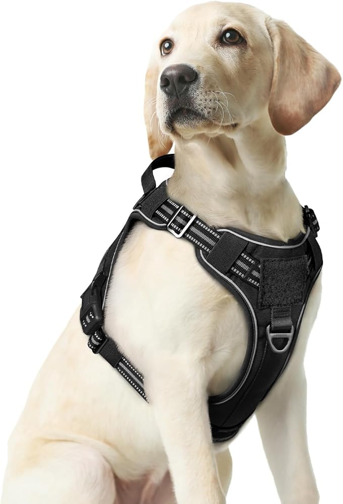 rabbitgoo Dog Harness Medium Sized No Pull, Tactical Service Pet Vest with Molle and Control Handle, Adjustable and Reflective Military Harness for Easy Walking and Training, Black, M-Mewly Pet