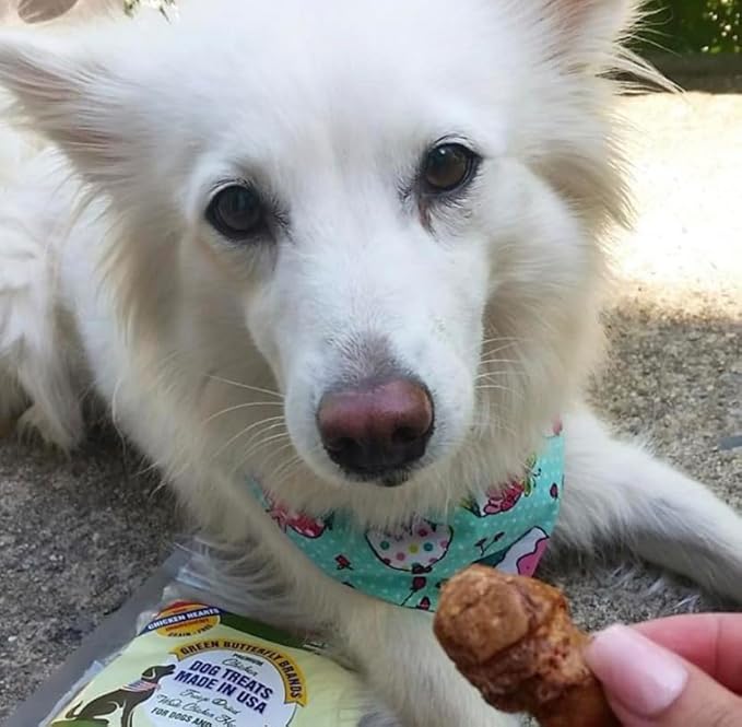 Freeze Dried Chicken Heart Dog Treats Made In USA. All Natural Freeze-Dried Raw Snacks for Dogs and Cats. One Ingredient. High Protein. Heart Health. Irresistible Training Treat-Mewly Pet