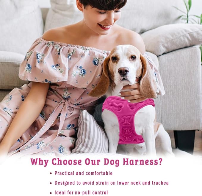 Comfort fit All Weather Step-in Dog Harness - Adjustable Small Dog Harness Medium Sized Dogs - Soft Padded Easy Walk Dog Vest Harnesses-Mewly Pet