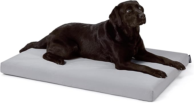 Cybarmour Indestructible Dog Bed - Outdoor Waterproof Chew Proof Dog Crate Pad - Orthopedic Kennel Mat for Aggressive Chewers - Large Breeds & Fits 42-Inch Crate - 41"x27", Limestone-Mewly Pet