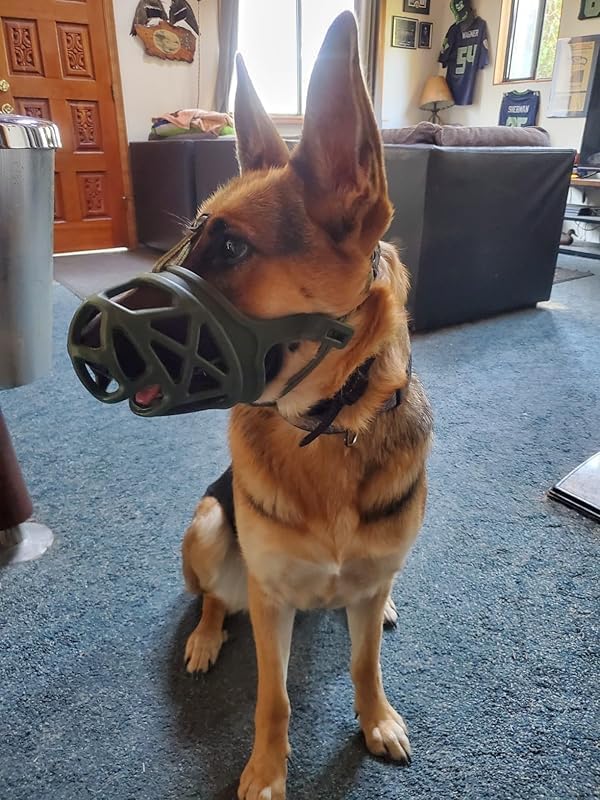 Mayerzon Dog Muzzle, Breathable Basket Muzzles for Small, Medium, Large and X-Large Aggressive Dogs Beagle German Shepherd Doberman, Cage Mouth Guard Stop Biting Chewing for Grooming Training-Mewly Pet