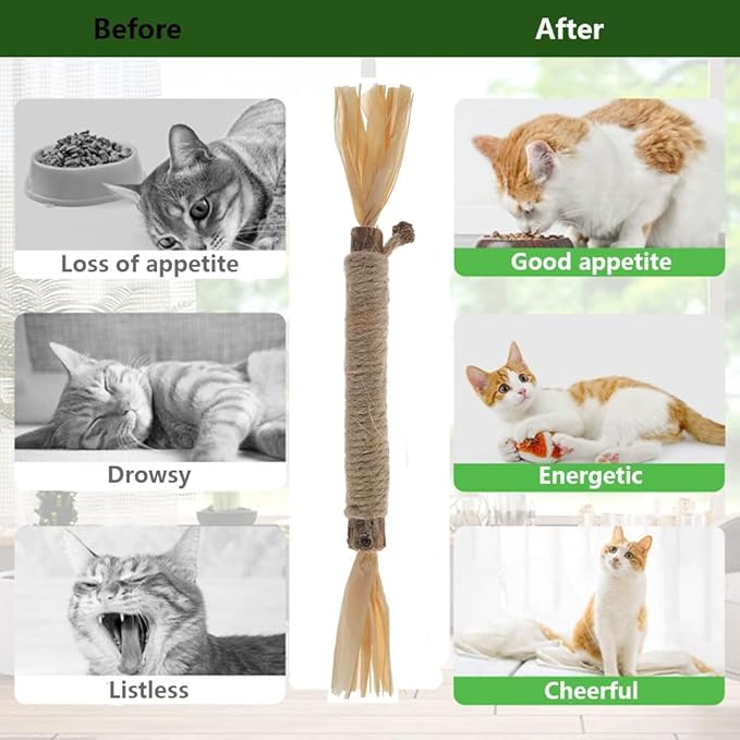 6 PCS Silvervine Sticks for Cats - Natural Cat Chew Toys for Teeth Cleaning, Kitten Teething & Aggressive Chewers-Mewly Pet