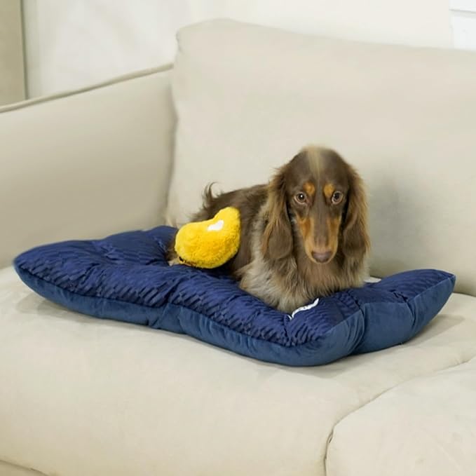 FUNNY FUZZY 2 in 1 Dog Bed Crate Pad Mat, Washable Reversible Pet Floor Mats,Fluffy Kennel Pad for Small Large Sized Dog,Indoor Cats,Sleeping Mattress, 23.6" × 17.9", Midnight Blue-Mewly Pet