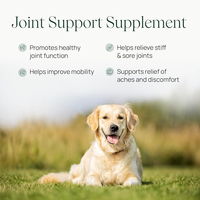 pawTree Joint & Hip Support Supplement for Dogs & Cats with Glucosamine, Chondroitin, MSM, Tumeric & Green Lipped Mussels - Vitamins & Health Essentials - All-Natural Mobility Soft Chews-Mewly Pet