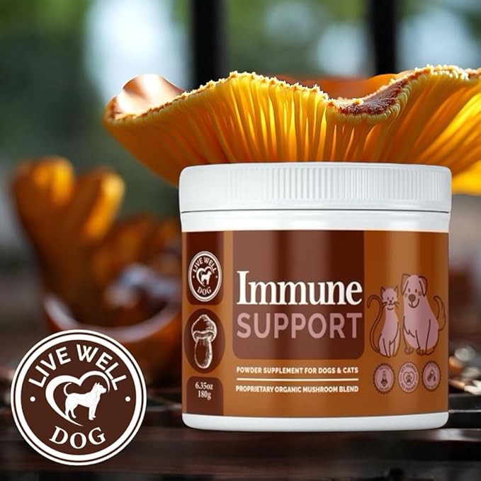 Immune Support Powder Food Topper, Large 6.35oz, Proprietary Organic Mushroom Blend, 300g-Mewly Pet