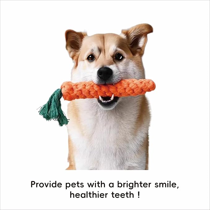 Dental Care for Pets - Dog Tooth Brushing Kit, Dog Toothpaste, Cat Toothbrush kit, Pet chew Toys, Dog Teeth Cleaning, 5 in 1 KIT for Large and Small Pets, Pets are Durable in Use !-Mewly Pet
