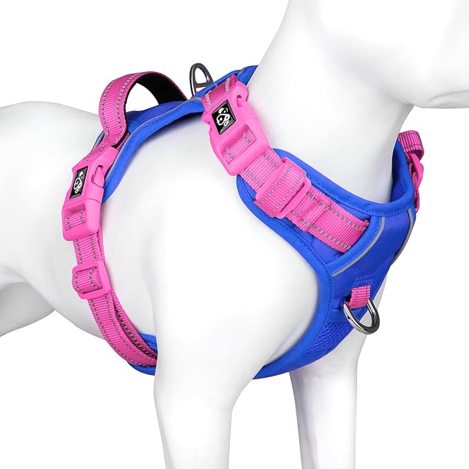 PHOEPET No Pull Dog Harness, Unique Colors Reflective Adjustable Dog Vest, with Soft Training Handle Metal Clips for Small Medium Large Dogs (Royal Blue Base & Pink Straps,S)-Mewly Pet
