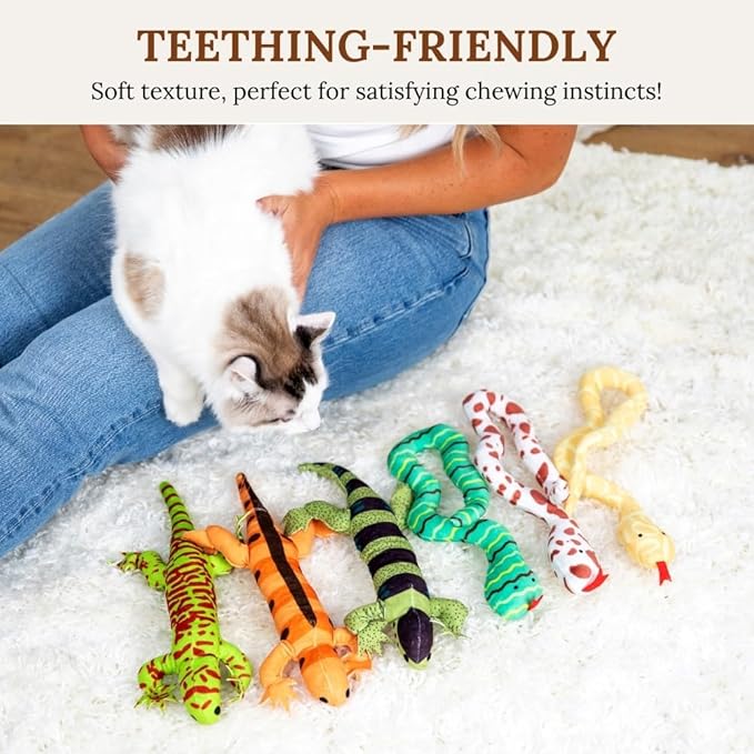 Cat Toy Snake Lizard Catnip Toys Chew Bite Resistant Toys for Indoor Cats Boredom Relief Teeth Cleaning Interactive Funny Cute Kitten Cat Lover Gifts Set of 6 Realistic Hunt Prey Activity Games-Mewly Pet