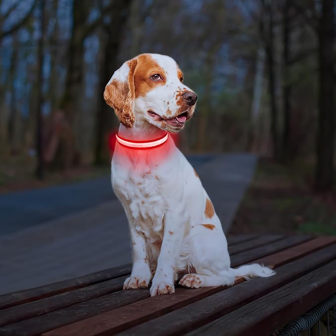 PcEoTllar Light up Dog Collar for Night Walking - LED Dog Collar Light Rechargeable Color Changing, Glow in The Dark Dog Collars Waterproof Glowing Dog Collars for Large Small Medium Dogs-Mewly Pet