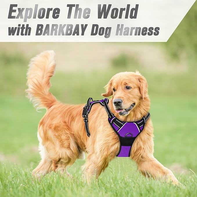 BARKBAY No Pull Dog Harness Front Clip Heavy Duty Reflective Easy Control Handle for Large Dog Walking(Purple,S)-Mewly Pet