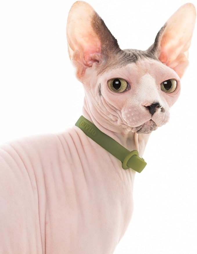 Breakaway Cat Collar - Soft, Comfortable, and Lightweight Safety Buckle Collar with Name Tag Ring for Outdoor Cats and Sensitive Skin Kittens by Nuvuq (6 ⅞" to 10 ¼", Green)-Mewly Pet