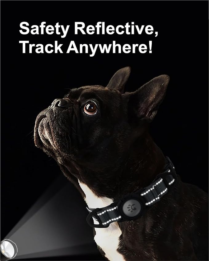 TagME Airtag Dog Collar,Waterproof Reflective Pet Collar with Airtag Holder,Soft Padded and Double D-Rings for Small Dogs,Grey-Mewly Pet