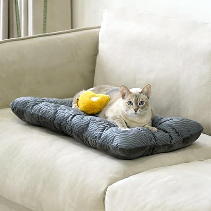 FUNNY FUZZY 24x18 Washable Dog Bed Reversible Crate Mat, 2 in1 Orthopedic Puppy Bed for Small Dogs/Cats, Fluffy Deluxe Kennel Mattress,Sleeping Pad,Charcoal Grey,S-Mewly Pet