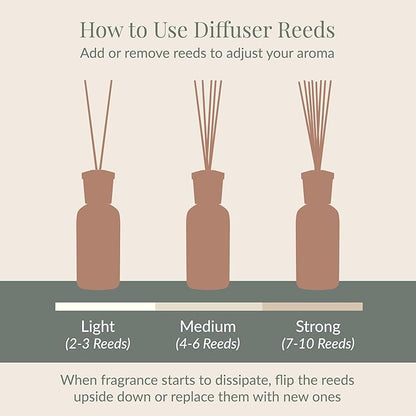 Archipelago Botanicals Birch Reed Home Fragrance Reed Diffuser, Includes Fragrance Oil, Decorative Wooden Cap & 10 Diffuser Reeds, Perfect for Home, Office or Gift, 7.85 fl oz