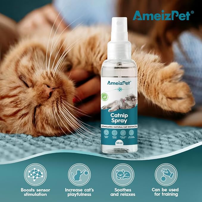 Catnip Spray for Cats, Cat Scratching Sprays, Transparent Cat & Kitten Behaviour Spray 50 ml (1.69 Oz)-Mewly Pet