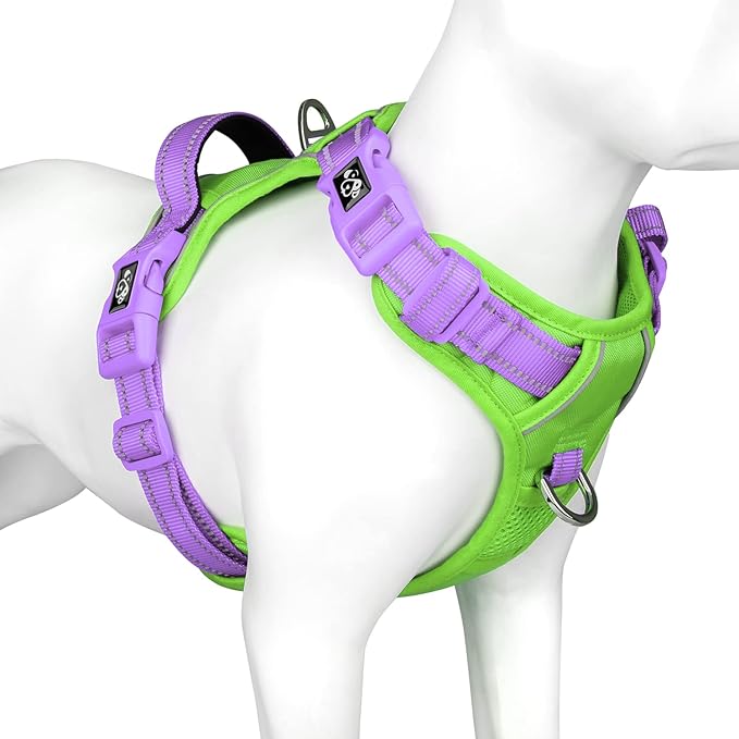 PHOEPET No Pull Dog Harness, Unique Colors Reflective Adjustable Dog Vest, with Soft Training Handle Metal Clips for Small Medium Large Dogs (Green Base & Purple Straps,S)-Mewly Pet
