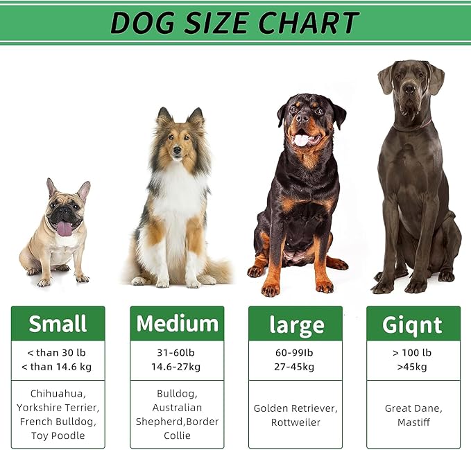 Christmas Dog Gifts, Dog Toys for Small Dogs Dog Toothbrush for Teething Cleaning, Rubber Squeaky Toys for Puppy-Mewly Pet