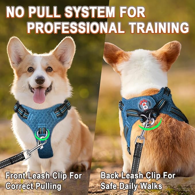 BARKBAY Dog Harness, Reflective Adjustable Step-in Vest Harness, Blue/Black, XXS-Mewly Pet