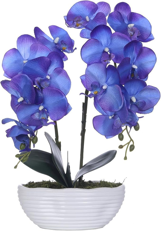 Large Artificial Potted Orchid Plant, Silk Flower Arrangement with Ceramics Vase, Purple Blue