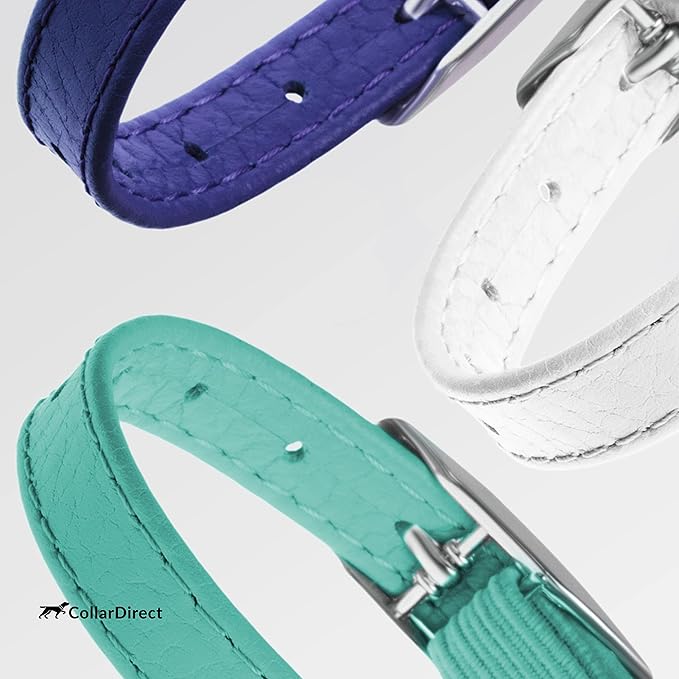 CollarDirect Leather Cat Collar, Kitten Collar with Removable Bell Black Blue Red Orange Lime Green (8-11 Inch, Purple)-Mewly Pet