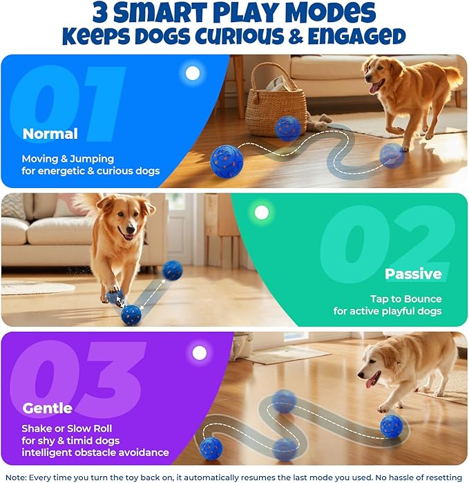 Dog Balls: Interactive Dog Ball Auto Rolling - Interactive Dog Toys for Aggressive Chewers - Bouncy & Throwable, Type-C Rechargeable, Washable, for Small & Medium & Large Dogs – Blue-Mewly Pet
