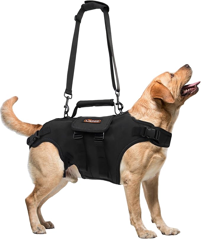 Dog Lift Harness, Full Body Dog Lift Harness, with Adjustable, Control Handle, for Senior Dogs, Post Surgery Recovery, Dogs with Joint Problems, Oxford Cloth L-Mewly Pet