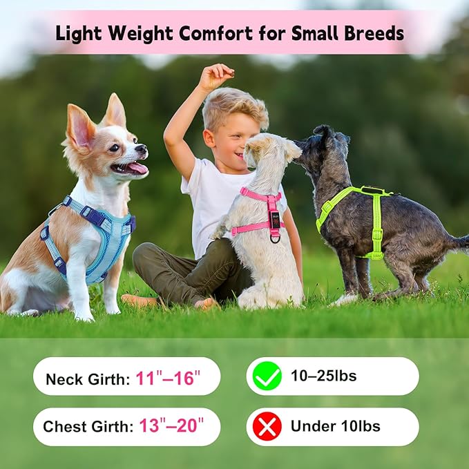 Rechargeable Light Up Dog Harness for Small Dogs – Adjustable LED Dog Vest with Reflective Strips, No Pull Glow in The Dark Puppy Harness for Night Walking Safety-Pink-Mewly Pet